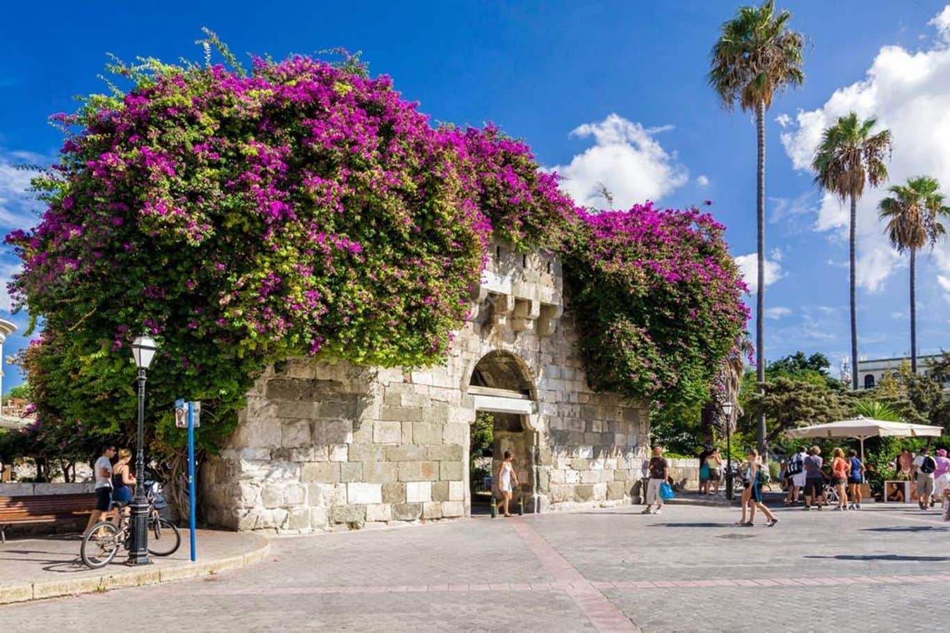 Turgutreis- Kos Feribot Bileti - Fotograf 2